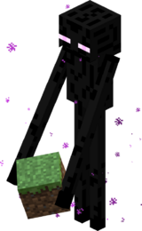 Странник Края с блоком.png